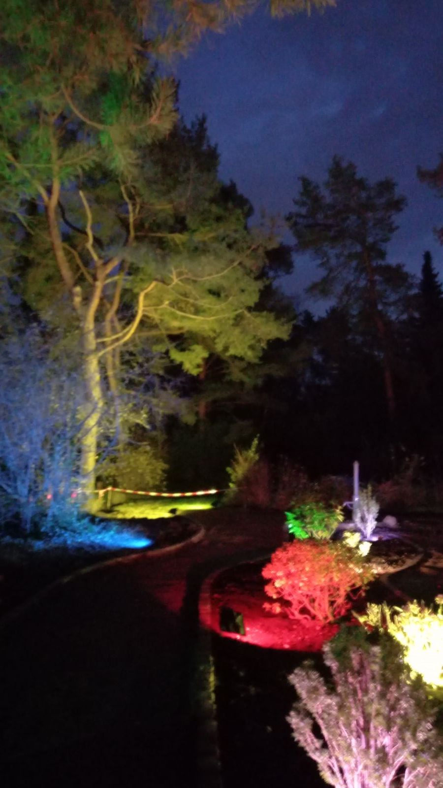Der Friedhof leuchtet - 2024 Heidefriedhof