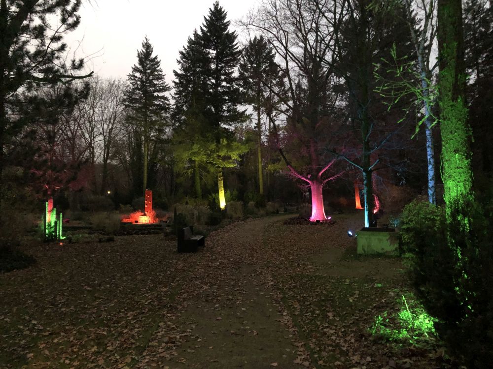 Der Memoriam-Garten Ruhleben leuchtete am 25.11.2018