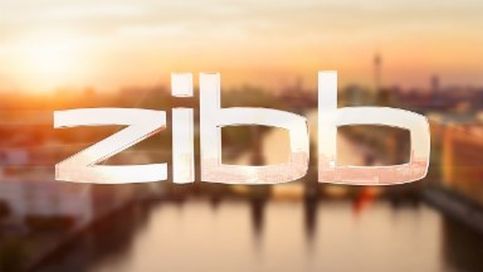 Logo zibb