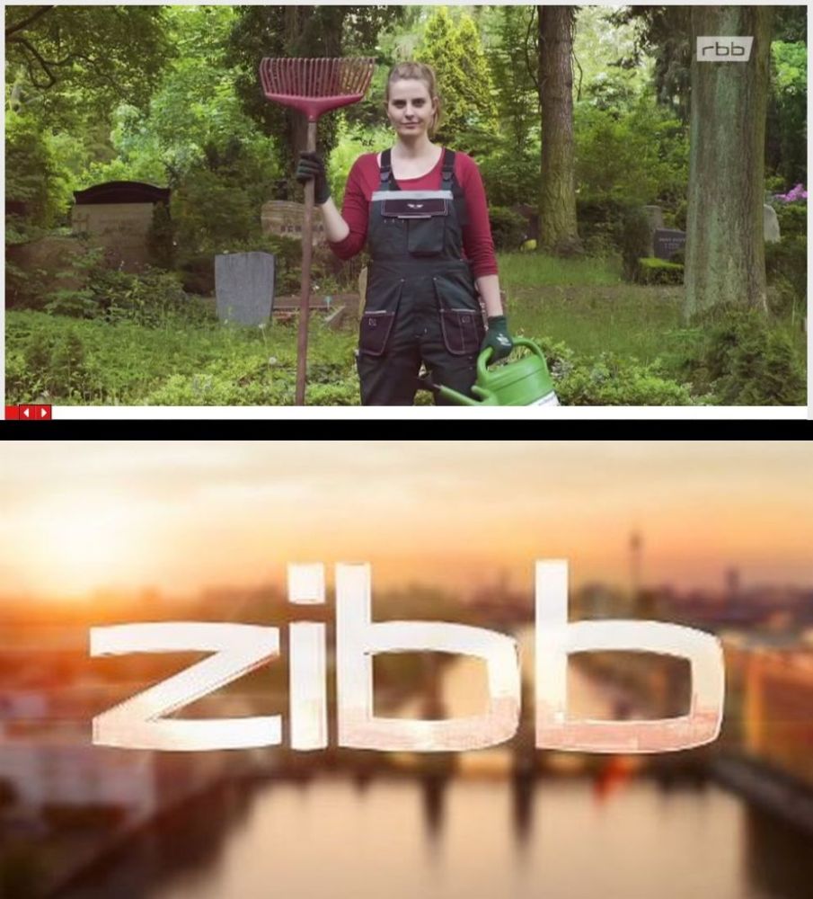 Logo zibb plus Screenshot